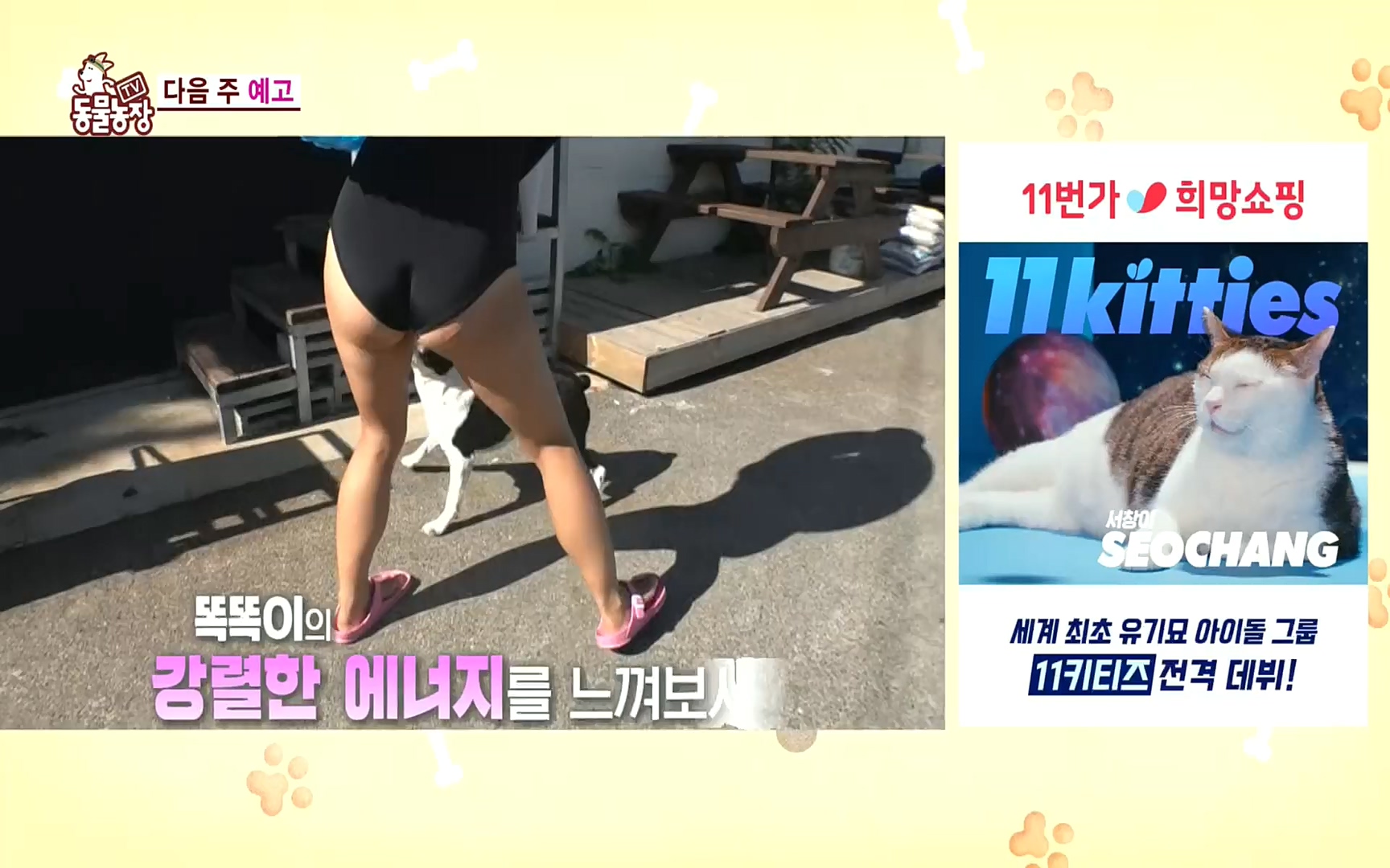 TV 동물농장.E1081.220807p.H264-F1RST.mp4_20220807_213642.805.jpg
