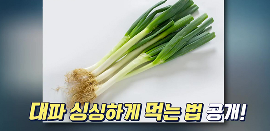  대파싱싱하게먹는법 한달내내먹을수있는대파냉장냉동보관법