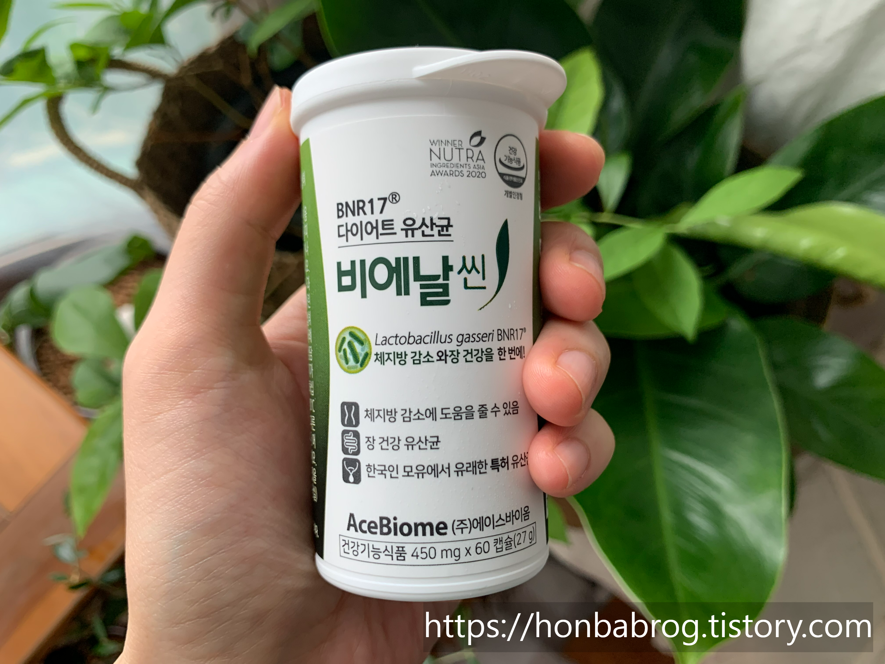  bnr17 유산균 비에날씬 유산균 내돈내산 후기