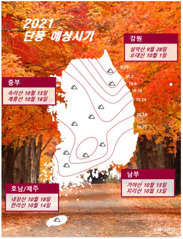  2021년 단풍 예상시기 및 절정시기 확인하기