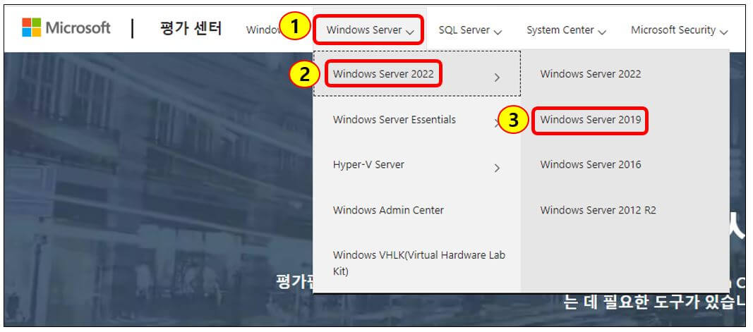 windows server 2019 버전 선택