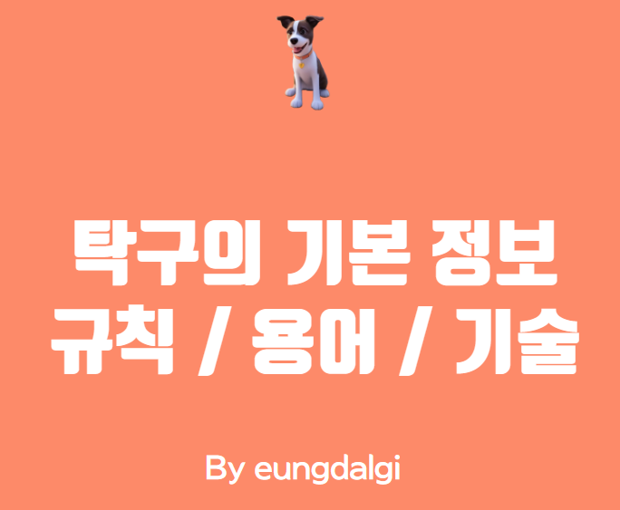  탁구의 기본 정보, 규칙 / 용어 / 기술