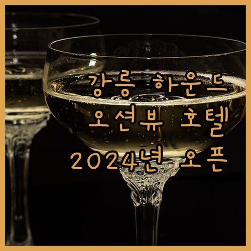 강릉 하운드 더블루 호텔 2024년 