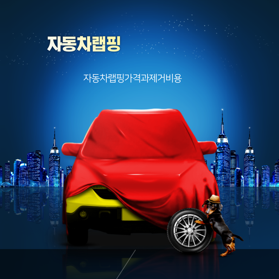 자동차랩핑