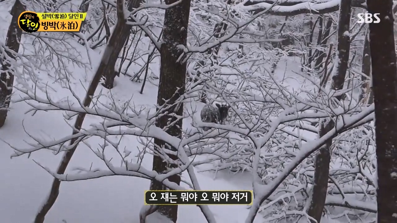생활의 달인.E923.240220p-NEXT.mp4_20240220_200115.825.jpg