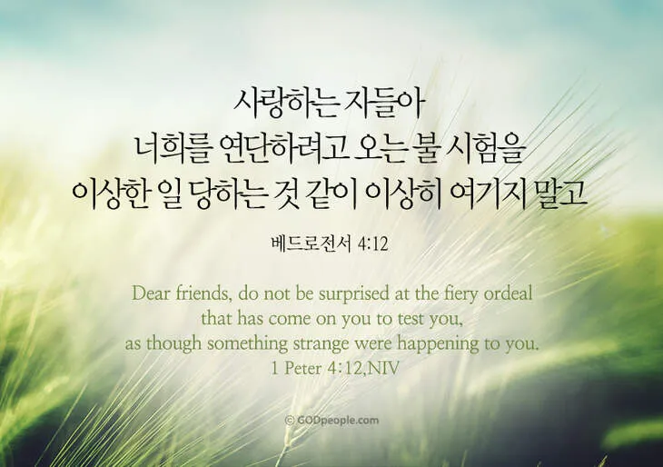 베드로전서 4장 청지기의 비유 성경 묵상_2