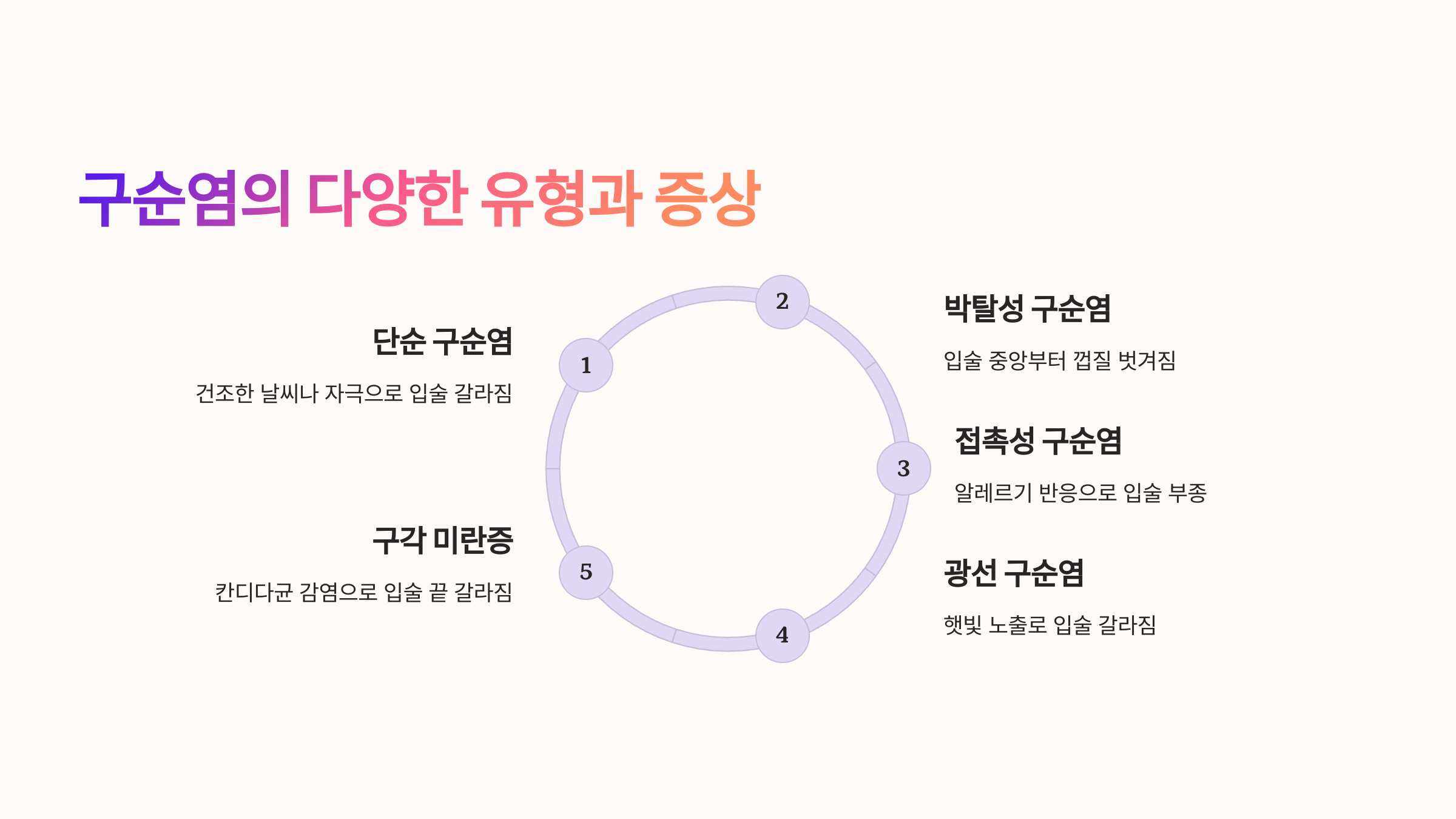 입술 사진입니다.