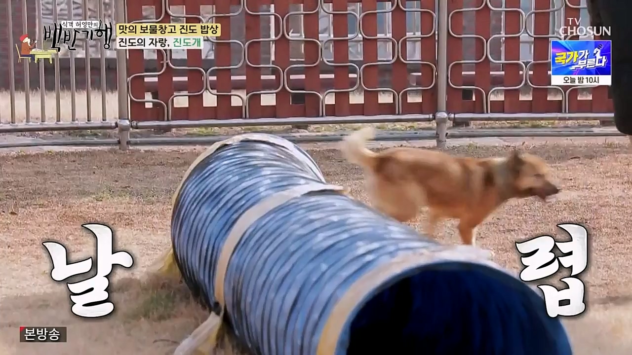 식객 허영만의 백반기행.E194.230332p-NEXT.mp4_20230402_052819.931.jpg