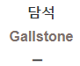  담석 [Gallstone]