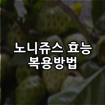  노니쥬스 효능 과 먹는법 알면 간편하다
