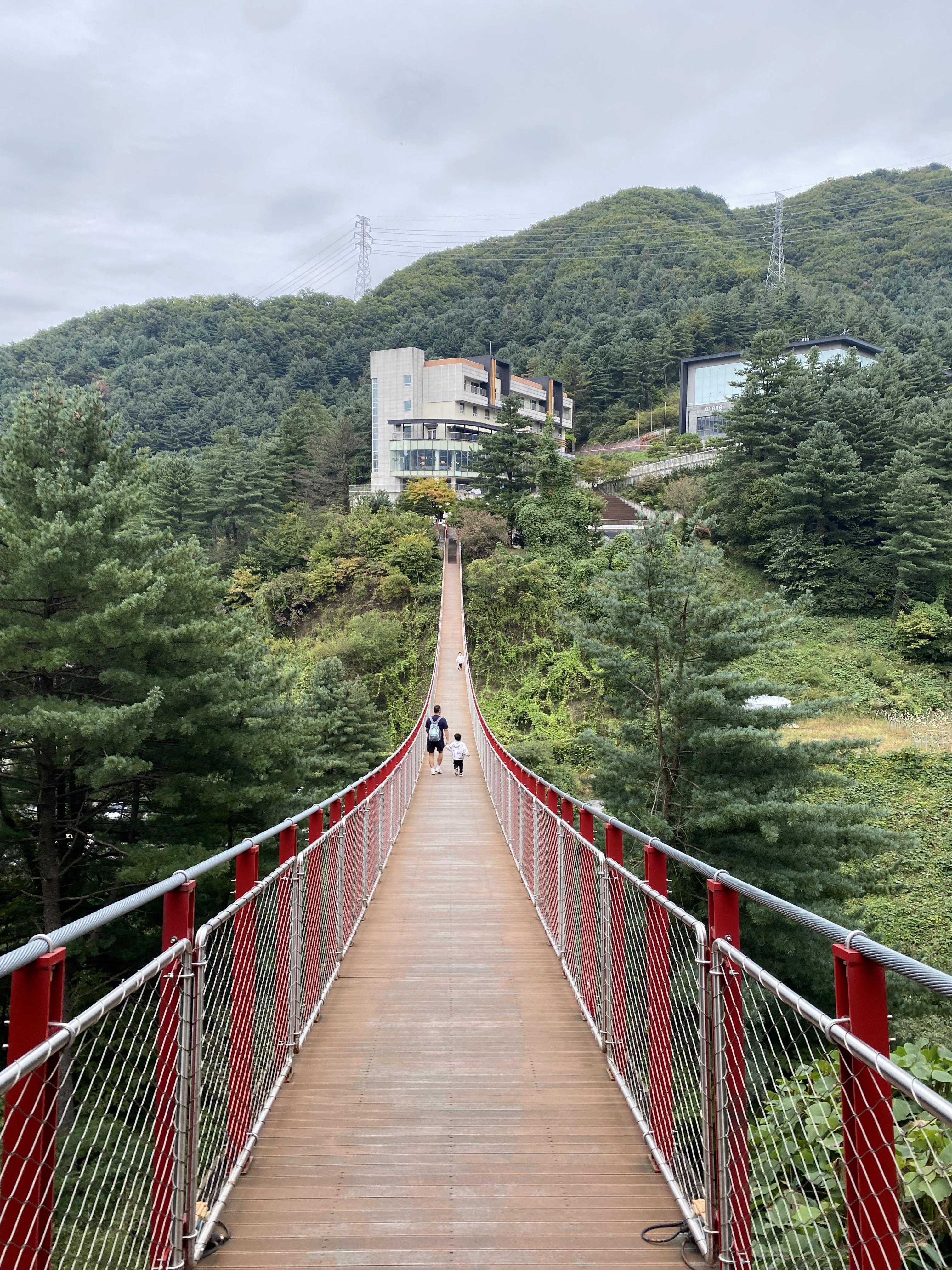 포천 어메이징 파크 서스펜션 브릿지