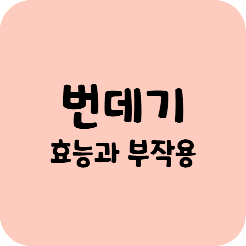 번데기의 효능과 부작용