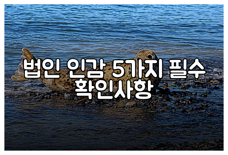 법인 인감 5가지 필수 확인사항
