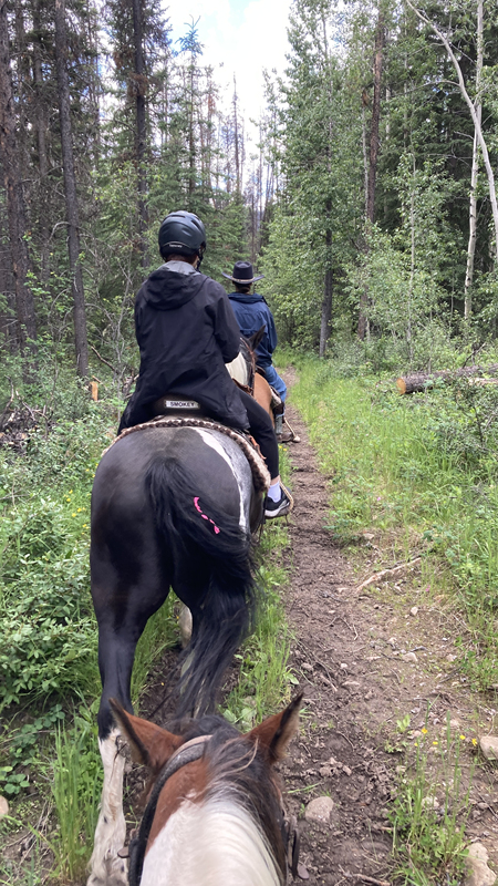 jasper riding stables