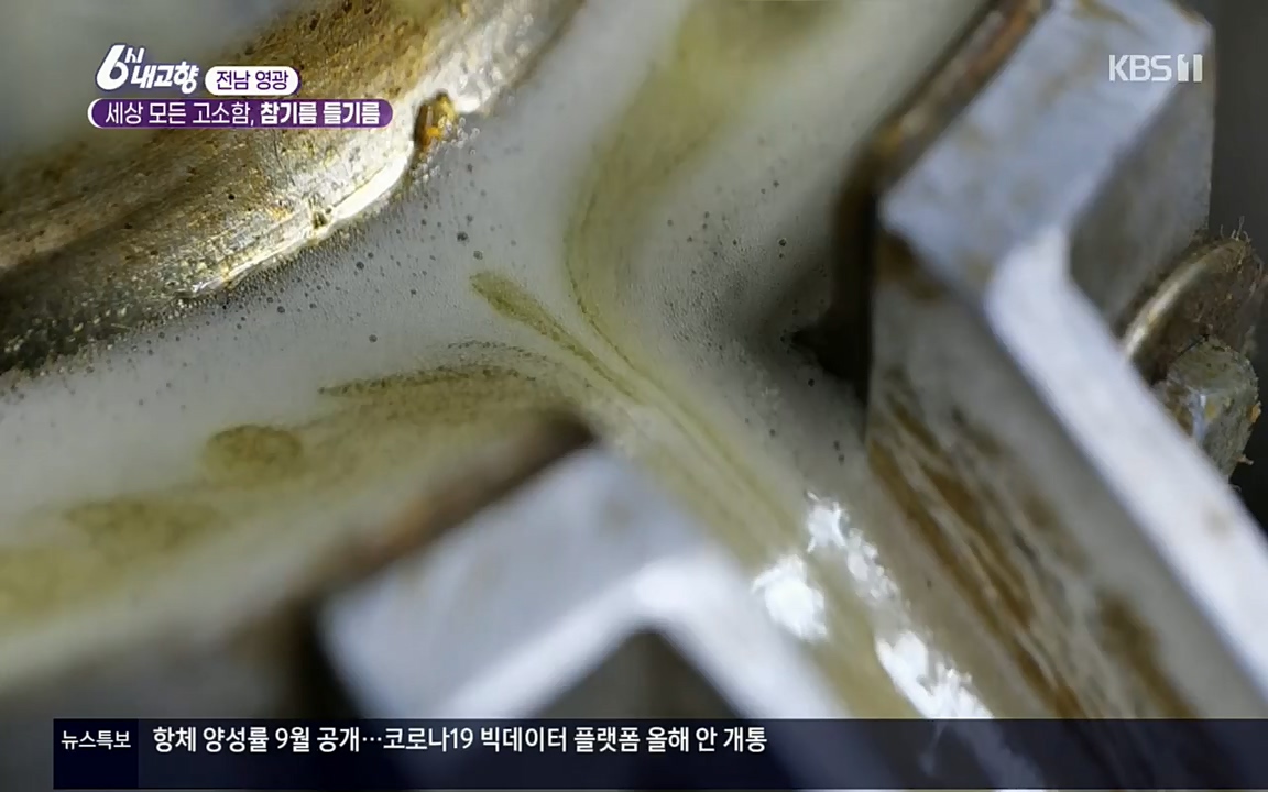 6시 내고향.E7608.220832p.H264-F1RST.mp4_20220901_204358.865.jpg