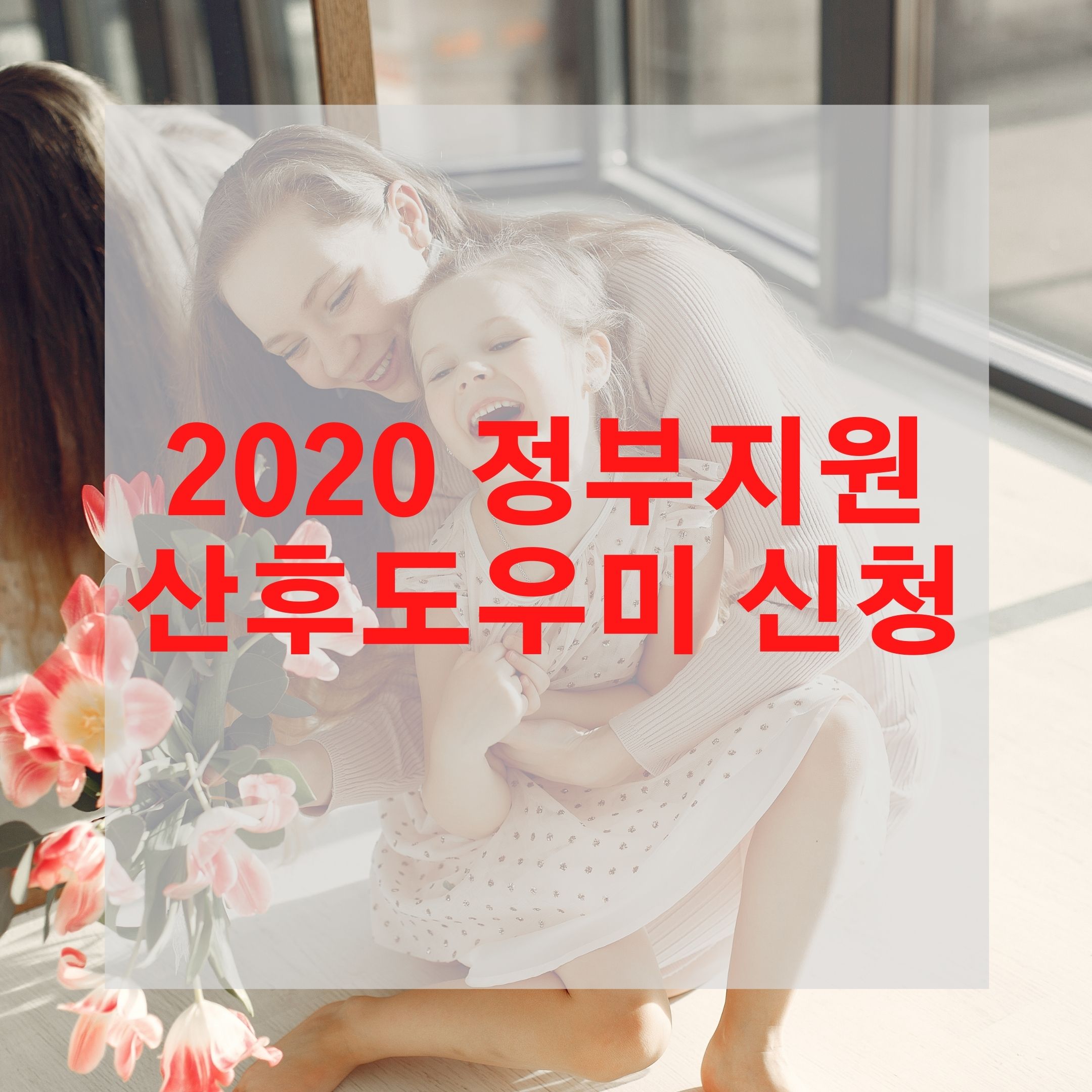  2020 정부지원 산후도우미 신청하러가기