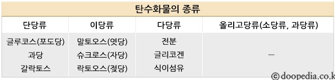 좋은 탄수화물 vs 나쁜 탄수화물