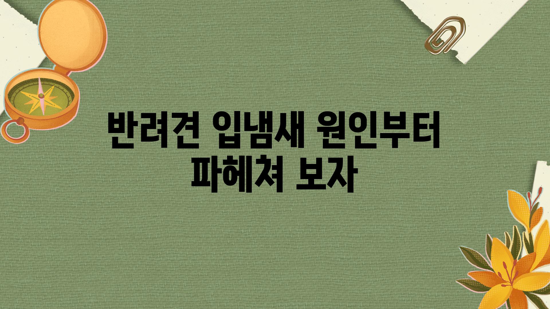 반려견 입냄새 원인부터 파헤쳐 보자