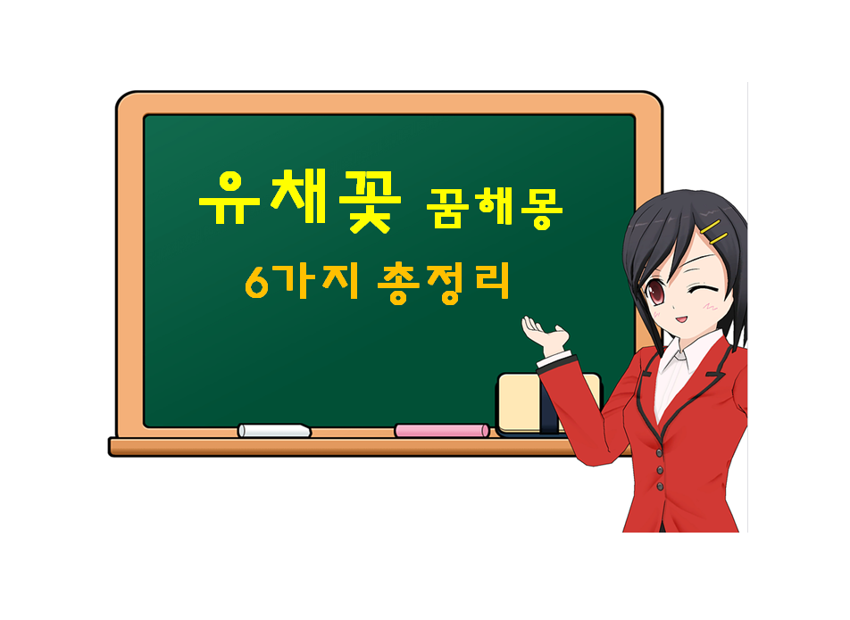  유채꽃 꿈해몽 6가지 총정리