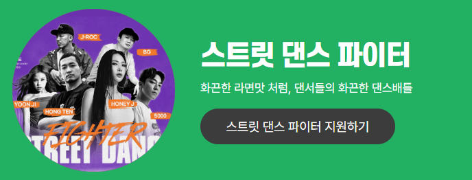 스트릿 댄스 파이터