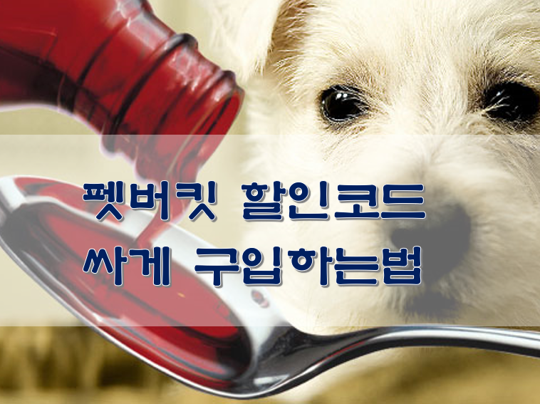  펫버킷 할인코드 싸게 구입하는법