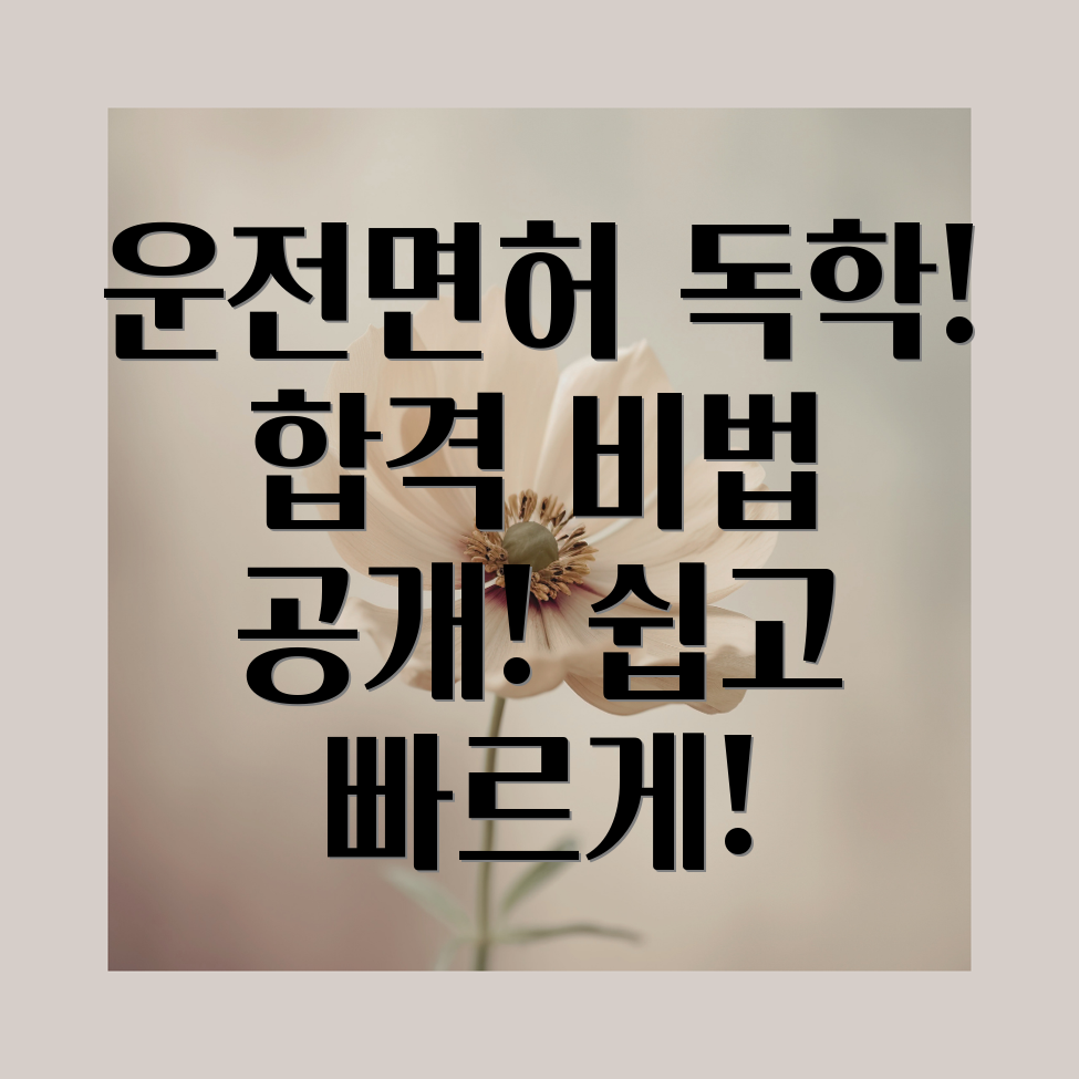 운전면허 독학