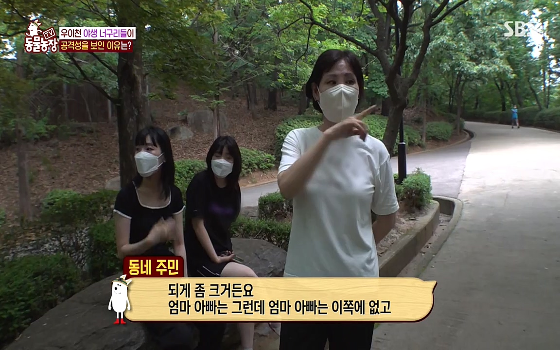 TV 동물농장.E1080.220732p-NEXT.mp4_20220731_174215.369.jpg
