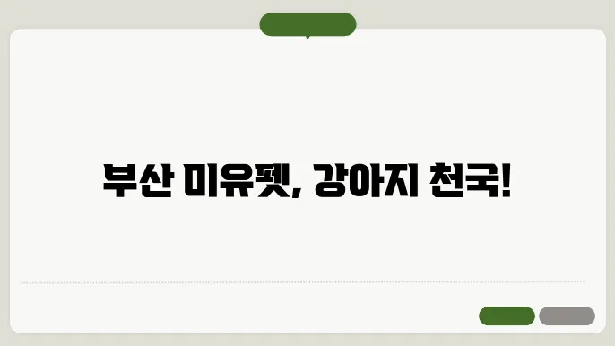 부산 미유펫: 다양한 강아지 종류의 특징을 한눈에 보기