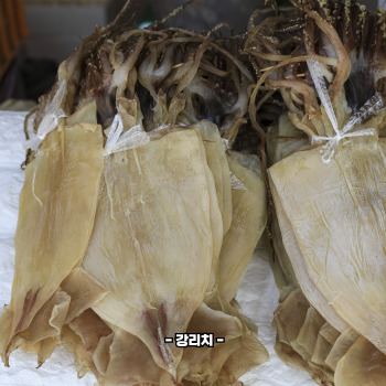 마른 오징어 효능