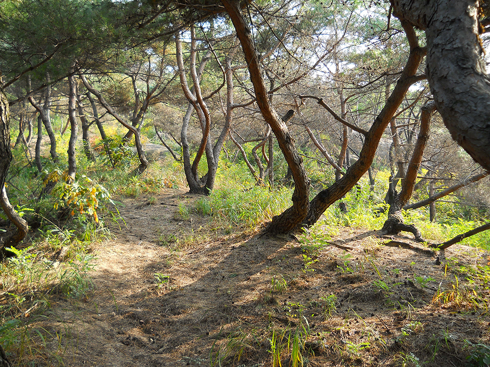 걷고 사랑하며 #248: 서대문구 홍제동 고은산(Goeunsan Mountain) 착한어린이