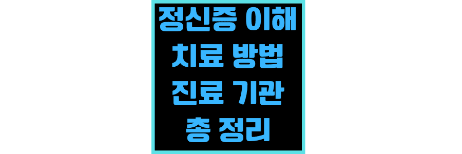 정신증-이해-치료 방법-진료-기관