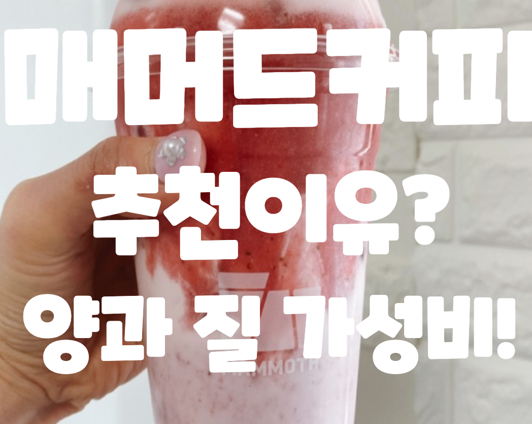  *매머드커피 메뉴 가격 생딸기라떼 코코넛사이공라떼 카페인 신메뉴 후기 판교역점*