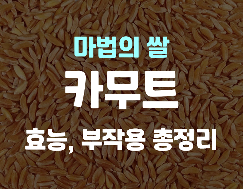  카무트쌀 효능 당뇨에 좋은 카무트 효과, 부작용 총정리