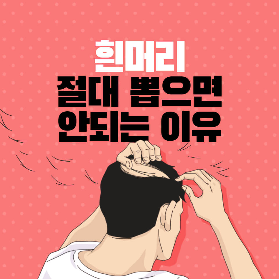  흰머리 새치 뽑으면 안되는 이유