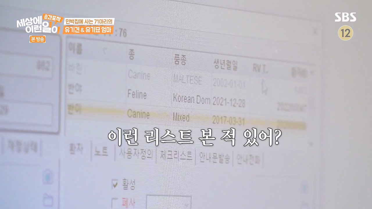 순간포착 세상에 이런일이.E1244.230903p-NEXT.mp4_20230903_173255.980.jpg