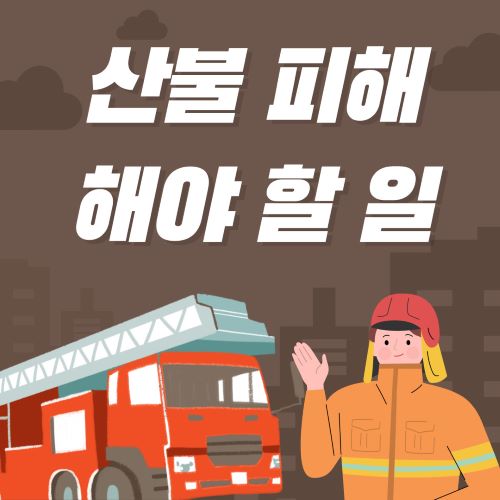 산불 피해시 해야 할 일 들