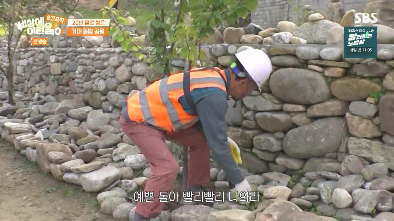 순간포착 세상에 이런일이.E1251.231105p-NEXT.mp4_20231105_172233.472.jpg