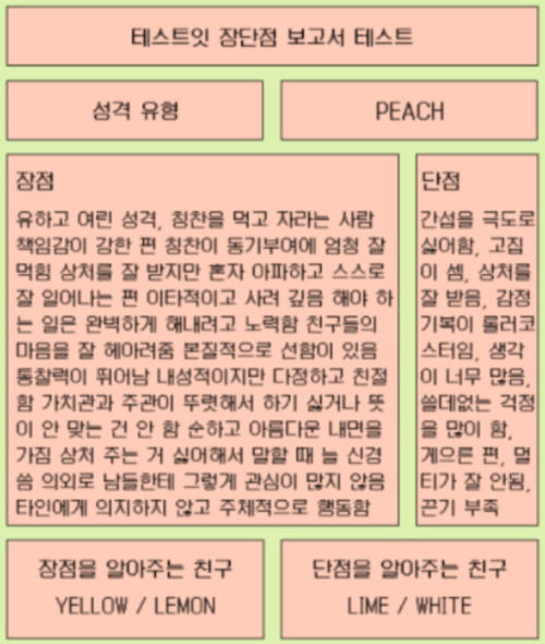 테스트잇 장단점 보고서 테스트