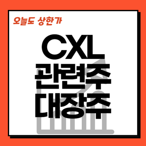 CXL관련주-CXL대장주-D램반도체관련주