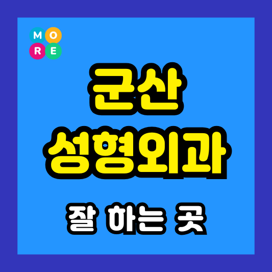 군산 성형외과 잘 하고 유명한 곳 추천 BEST 3 코끝연골묶기, 눈밑지방재배치, 안와상융기