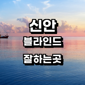 신안군 블라인드