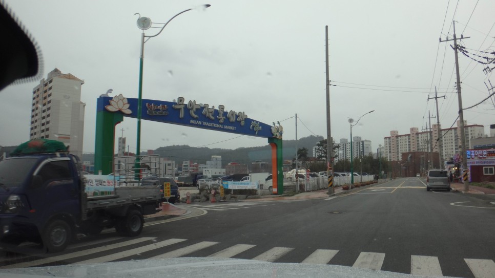 오일스텐 2021년 3월의 농촌사는 이야기...(3.1~3.15) 밭농사 준비, 베란다 화분 관리, 무안 138