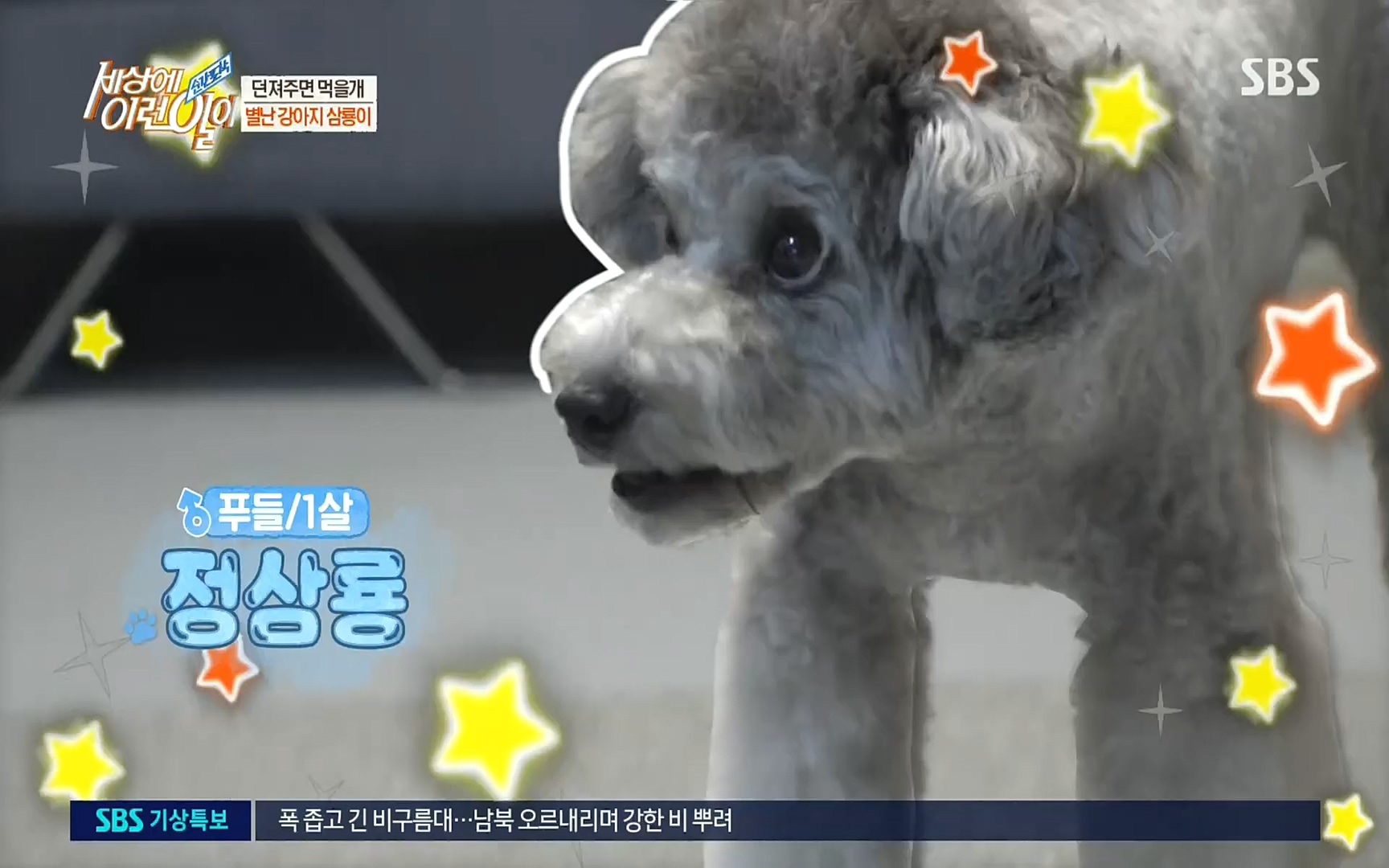순간포착 세상에 이런일이.E1192.220809p.H264-F1RST.mp4_20220810_203612.520.jpg