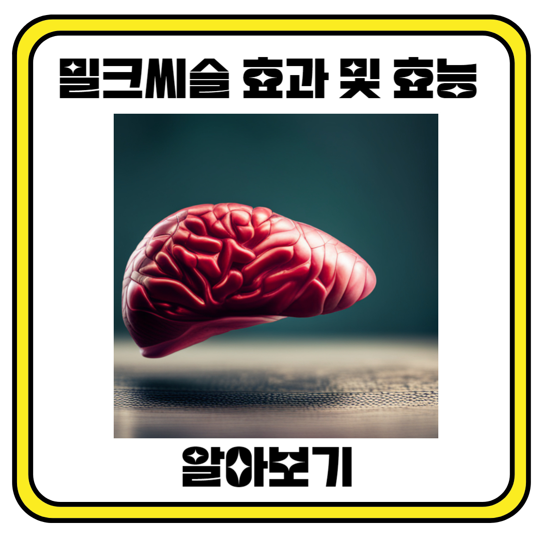 밀크씨슬 효과 및 효능