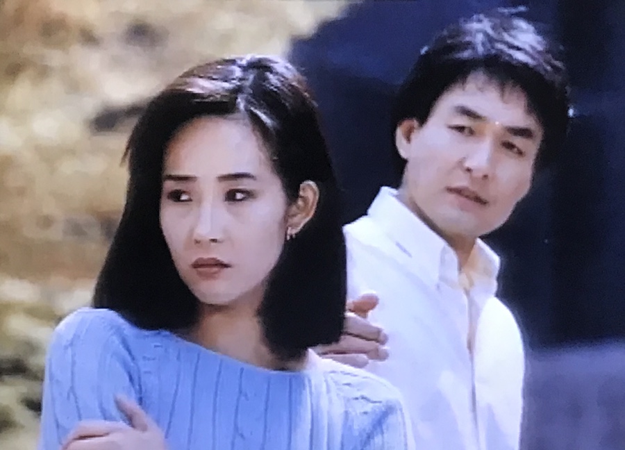 뒷드라마 추천 - 진실, 폭풍의 계절 출연진 등장인물 정보 (최진실, 김희애, 최지우, 박성연) 6