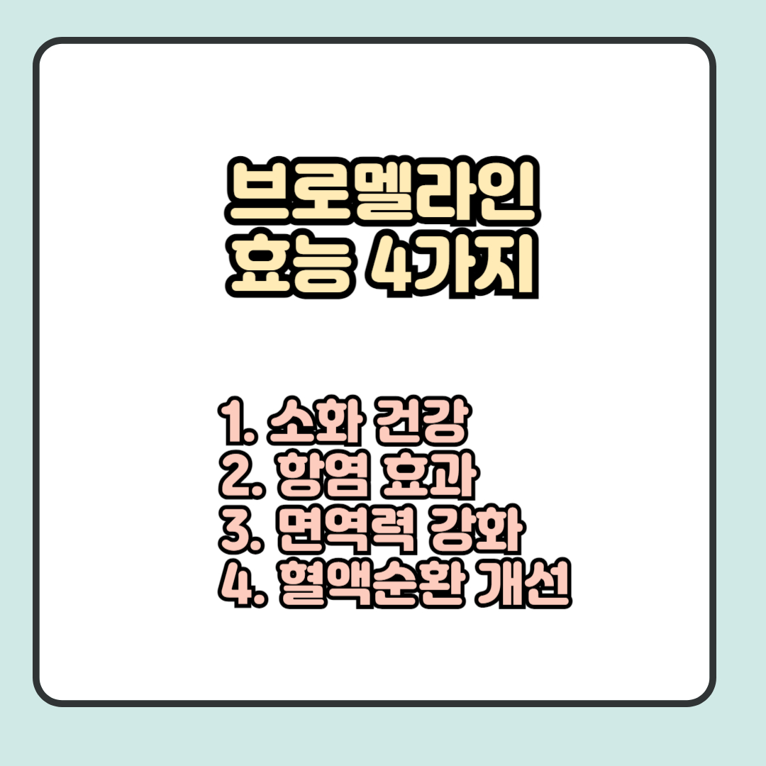 브로멜라인 효능 4가지