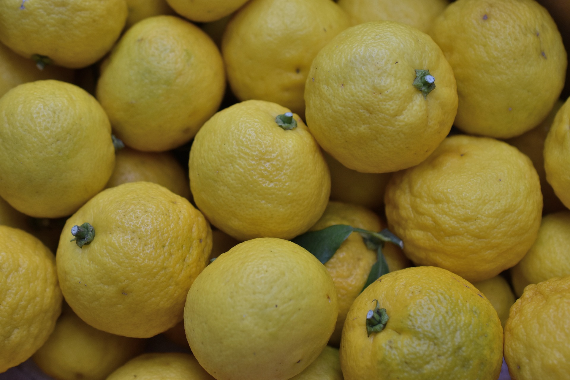 citrus-yuja