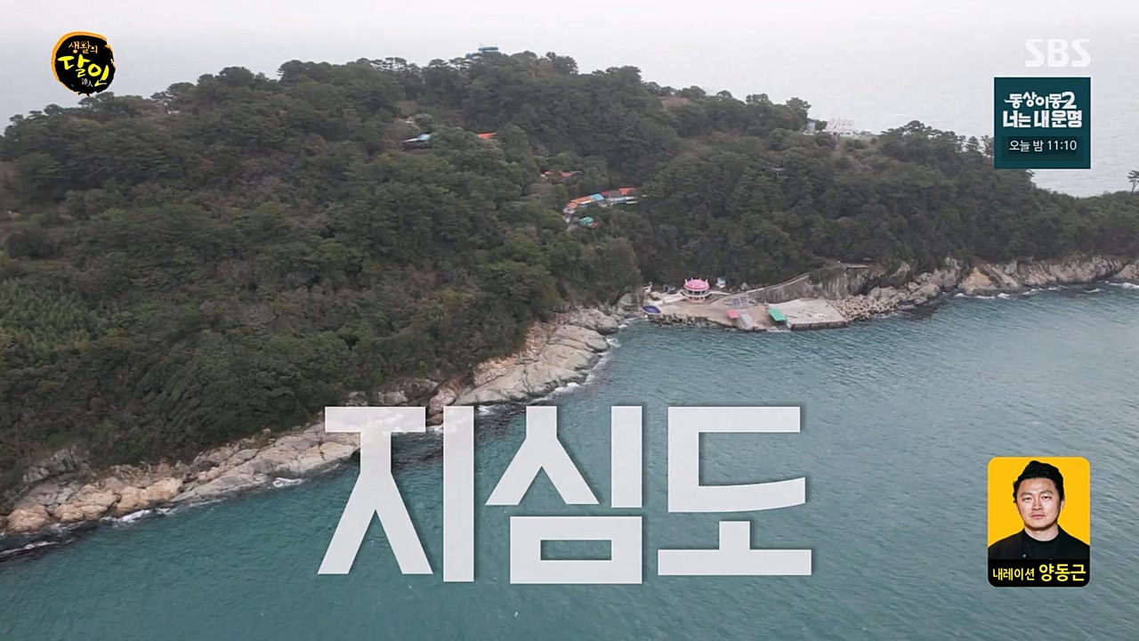 생활의 달인.E881.230328p-NEXT.mp4_20230328_201110.601.jpg