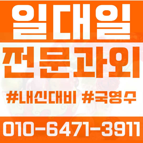  성남 구미동 초등영어과외 중학생수학과외 선행 예습 복습