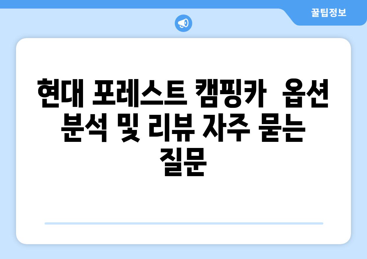 현대 포레스트 캠핑카  옵션 분석 및 리뷰 자주 묻는 질문